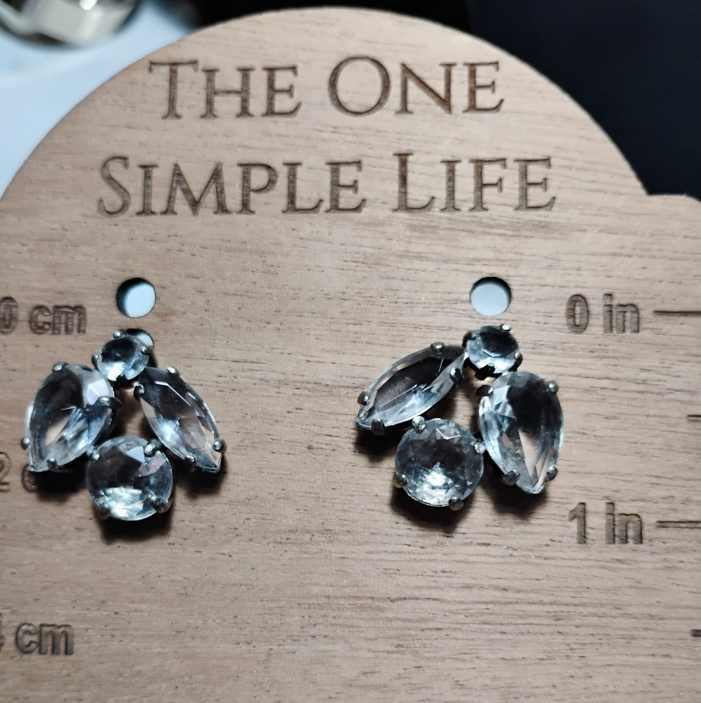 j. Crew silvertone Earrings